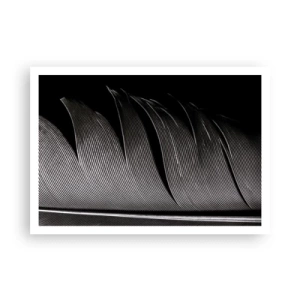 Affiche - Poster - Texture de plumes noires et blanches dans un style minimaliste - 100x70cm - La plume – un design magnifique - Décoration murale moderne pour le salon et la chambre ARTTOR