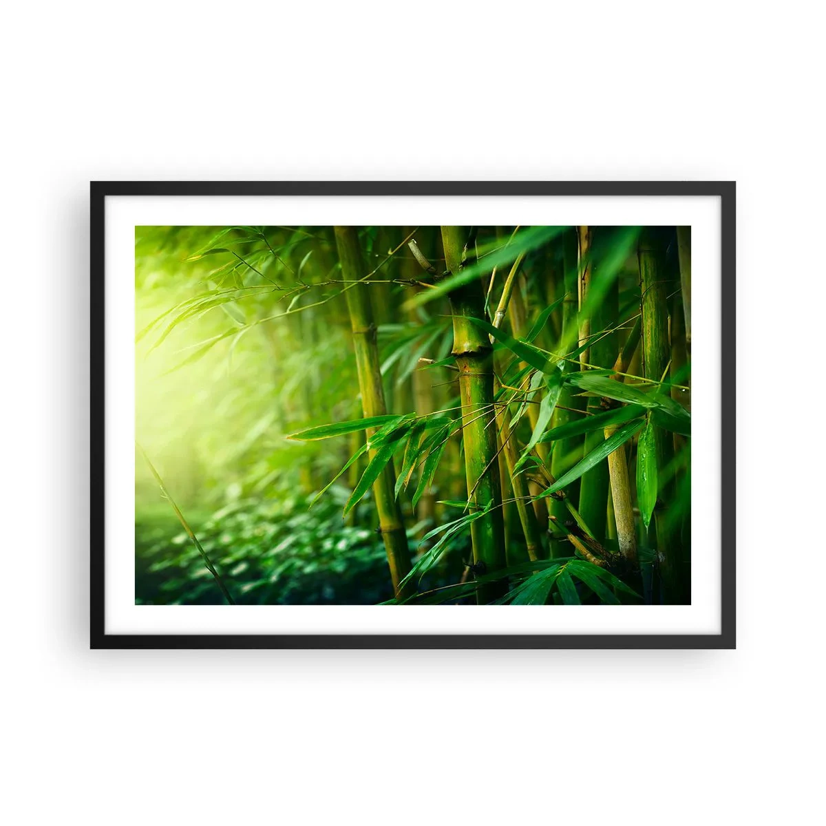 Affiche dans un cadre noir - Poster - Forêt de bambous verts dans une lumière douce - 70x50cm - Apprenez à connaître le vert lui-même - Décoration murale moderne pour le salon et la chambre ARTTOR