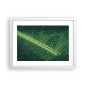 Affiche dans un cadre blanc - Poster - Structure de vert - 40x30 cm