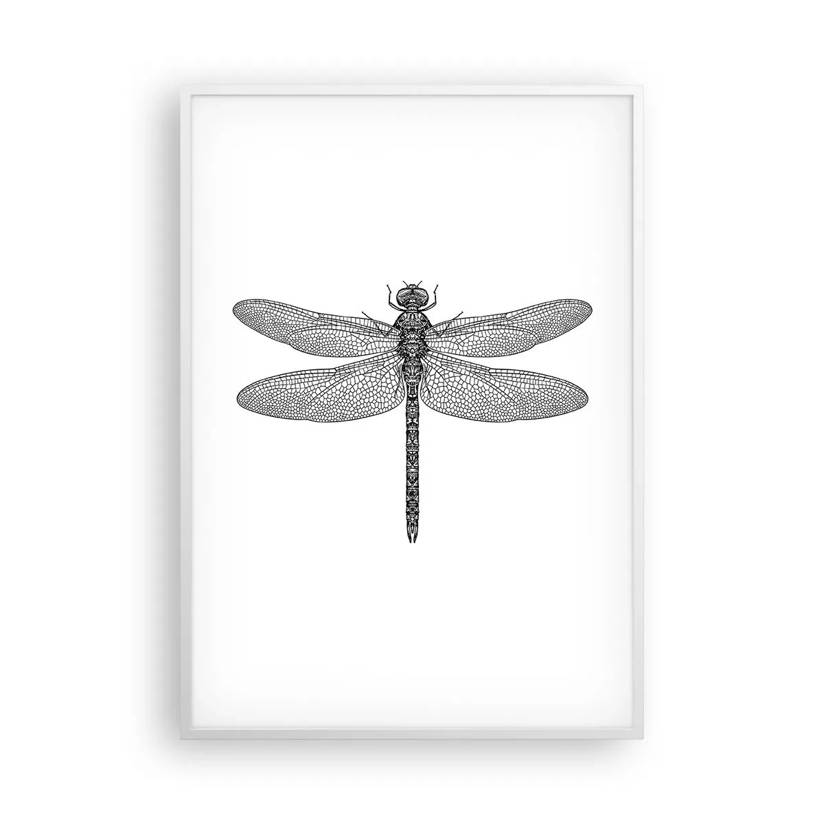 Affiche dans un cadre blanc - Poster - Précision de la nature - 70x100 cm