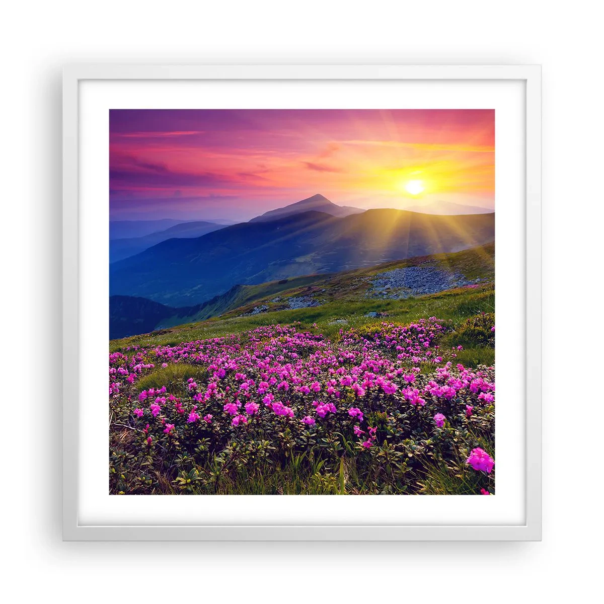 Affiche dans un cadre blanc - Poster - … Et autour, ça sent le pin des montagnes et l'odeur de la prairie - 50x50 cm