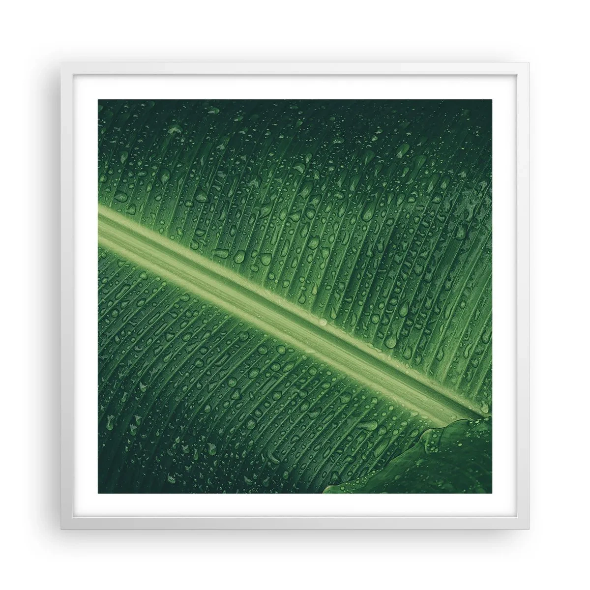 Affiche dans un cadre blanc - Poster - Structure de vert - 60x60 cm