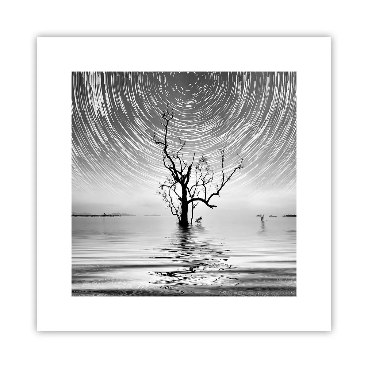 Affiche - Poster - La symphonie de la nature - 30x30 cm