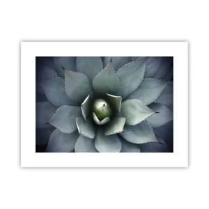 Affiche - Poster - Wabi et observe - 40x30 cm