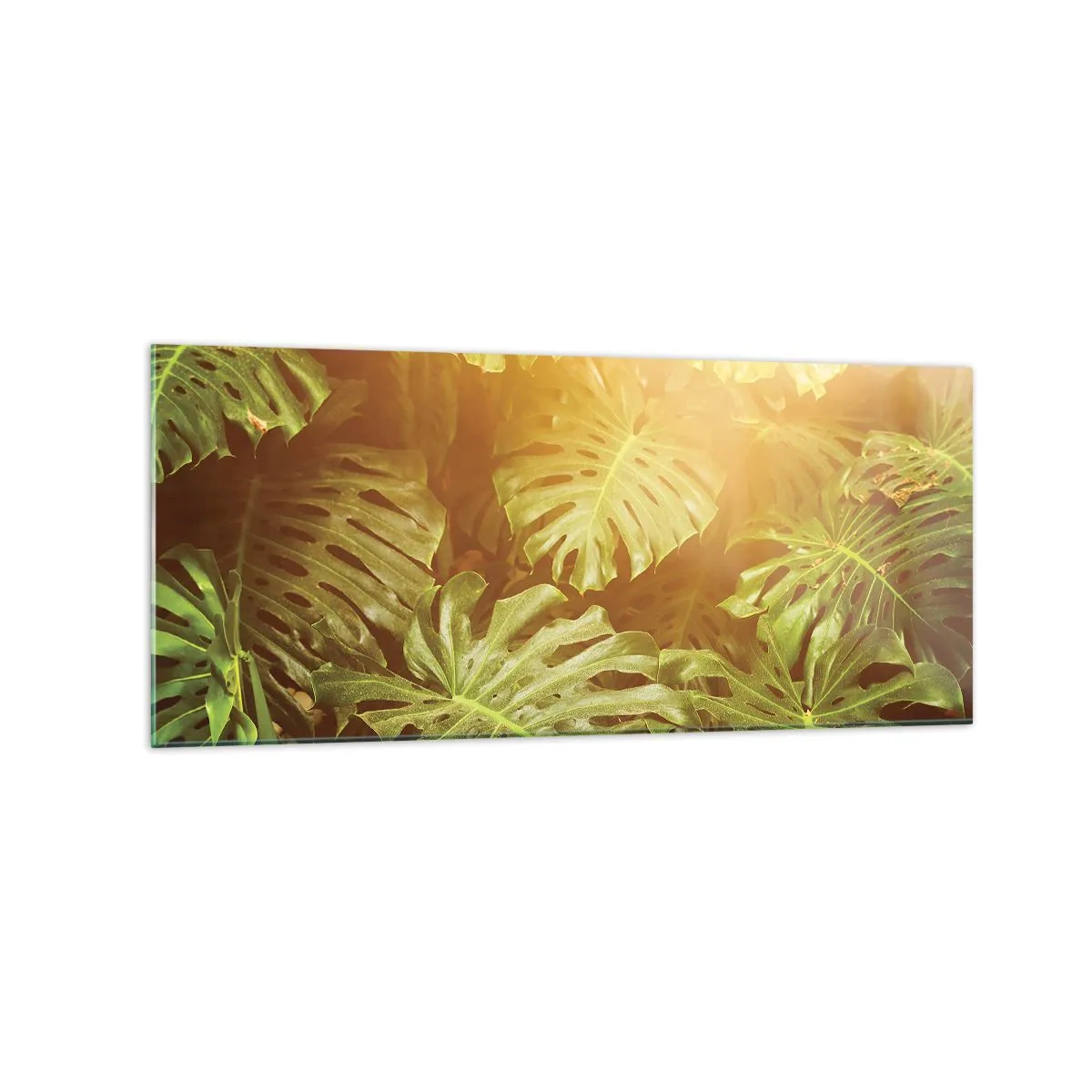 Impression sur verre - Image sur verre - Feuilles de Monstera au soleil sur fond naturel - 120x50cm - Se fondre dans la verdure - Décoration murale moderne pour le salon et la chambre ARTTOR
