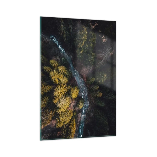 Impression sur verre - Image sur verre - Vue d'en haut d'une forêt avec une rivière sinueuse - 80x120cm - De plus en plus vite - Décoration murale moderne pour le salon et la chambre ARTTOR