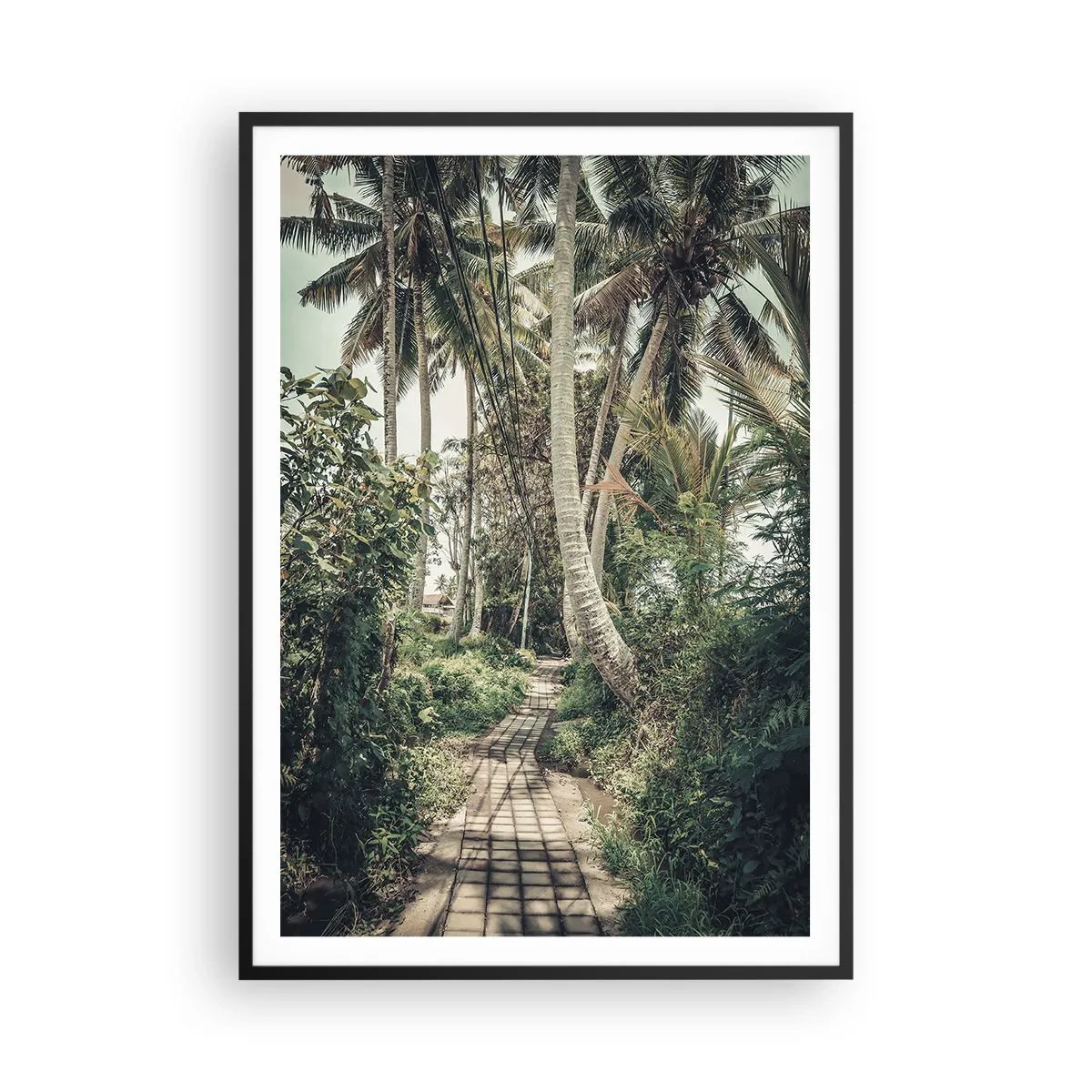 Affiche dans un cadre noir - Poster - Allée des palmiers - 70x100 cm