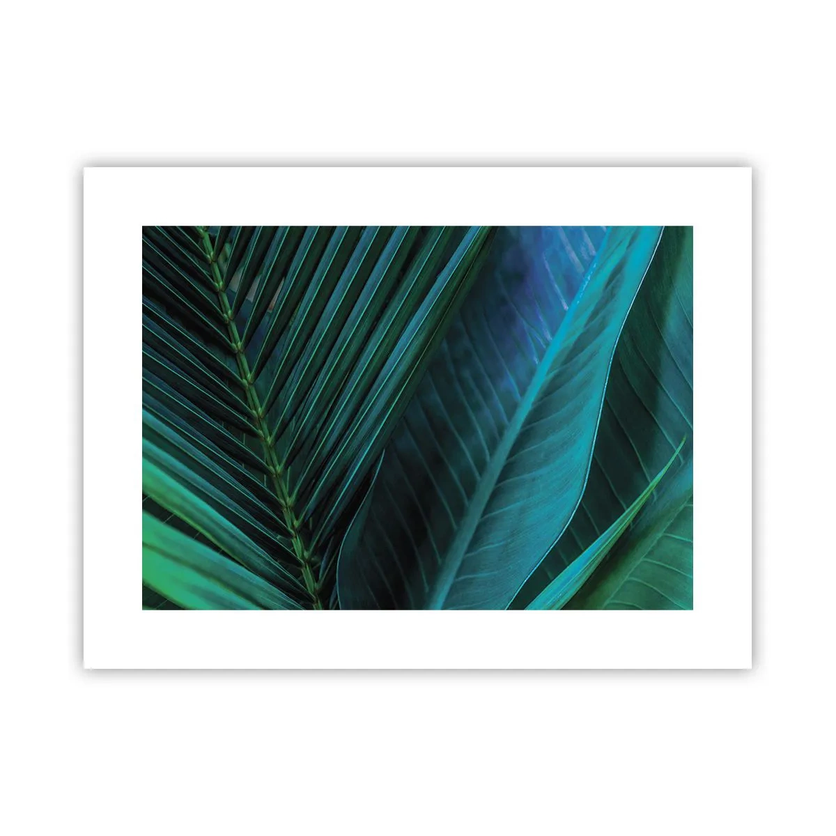 Affiche - Poster - L'anatomie du vert - 40x30 cm