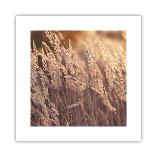 Affiche - Poster - Prêt à accueillir l'automne - 30x30 cm