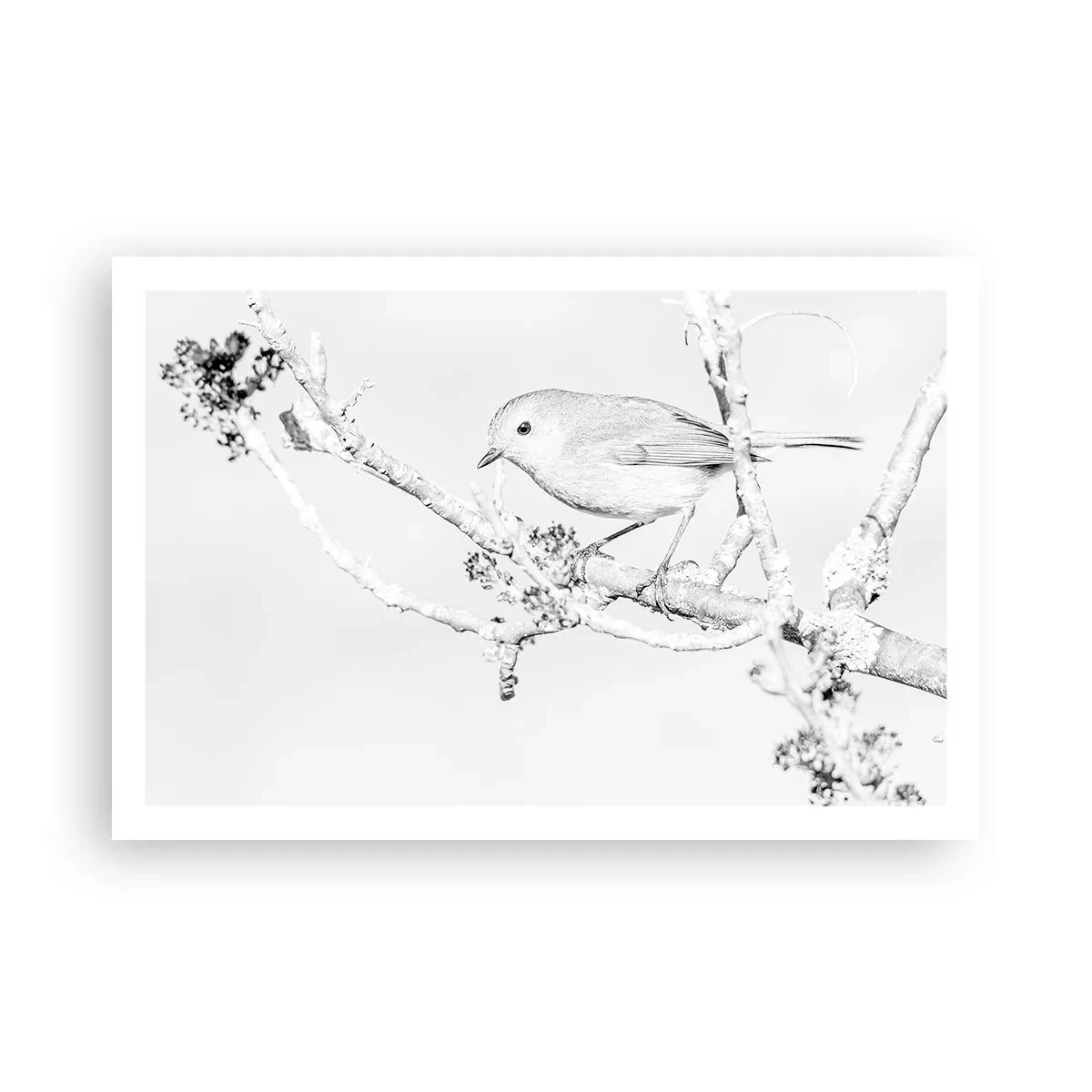 Affiche - Poster - Matin d'hiver - 91x61 cm