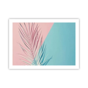 Affiche - Poster - Impression tropicale - 70x50 cm
