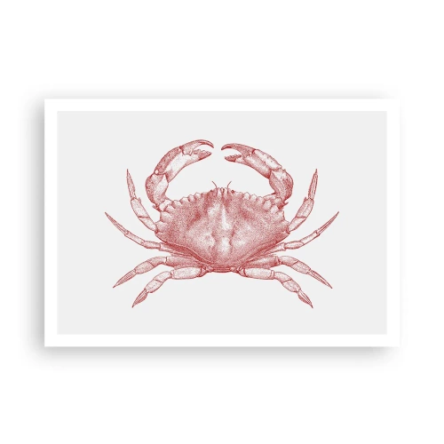 Affiche - Poster - Dessin d'un crabe dans une teinte rouge - 100x70cm - Le crabe des crabes - Décoration murale moderne pour le salon et la chambre ARTTOR