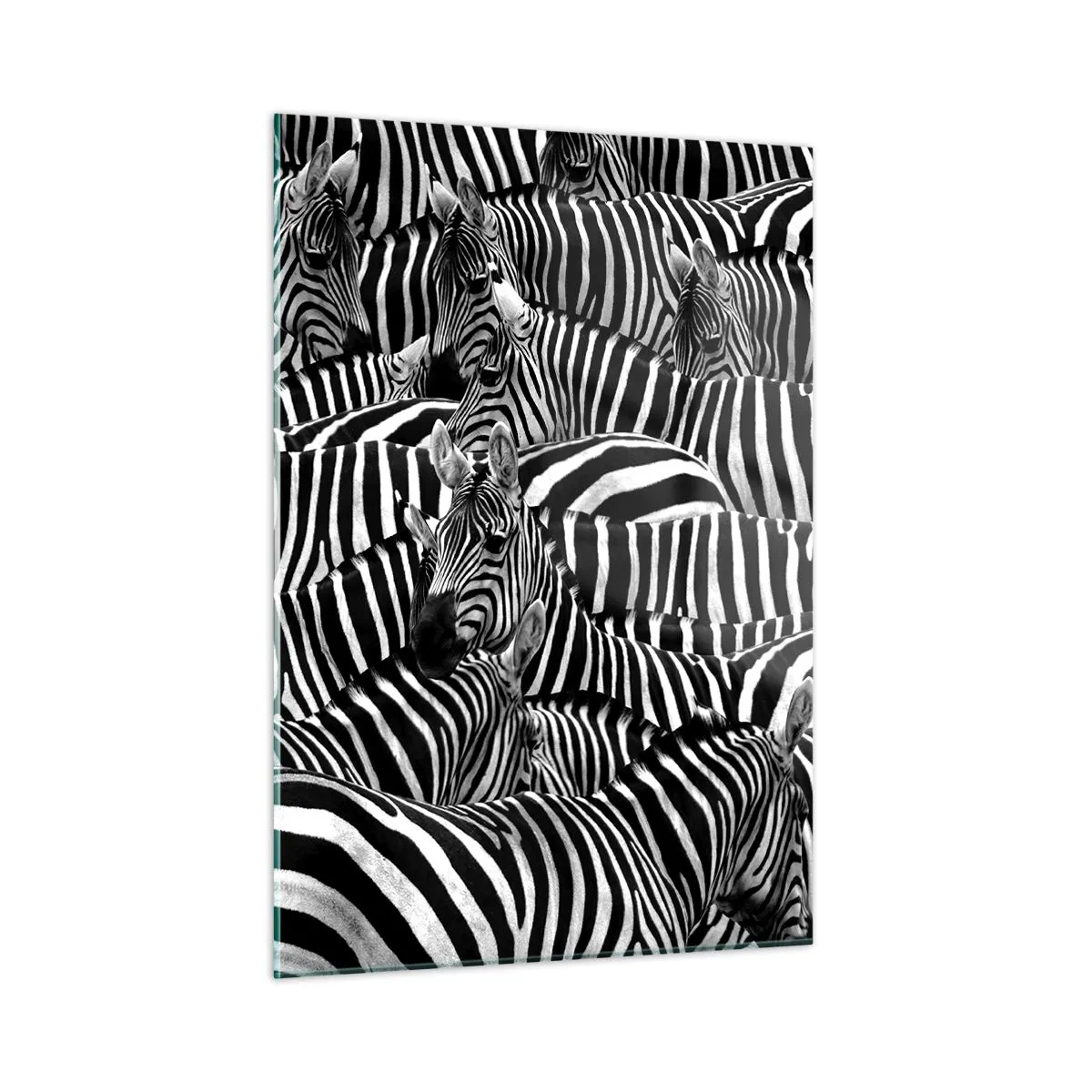 Impression sur verre - Image sur verre - Un troupeau de zèbres en monochrome - 50x70cm - Portrait collectif à rayures - Décoration murale moderne pour le salon et la chambre ARTTOR