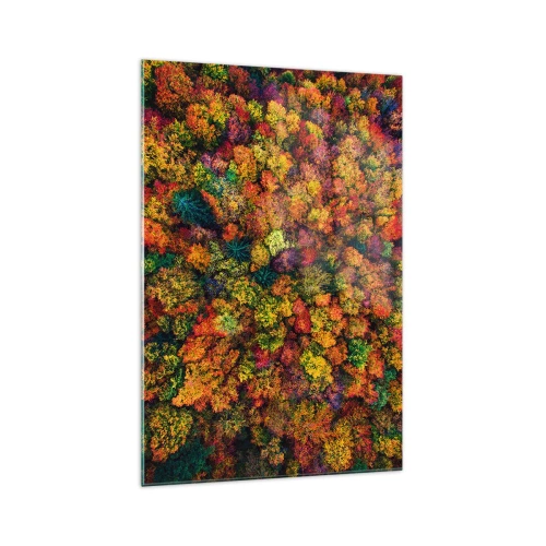 Impression sur verre - Image sur verre - Couronnes d'arbres colorées dans la palette d'automne - 70x100cm - Bouquet d'arbres automnal - Décoration murale moderne pour le salon et la chambre ARTTOR
