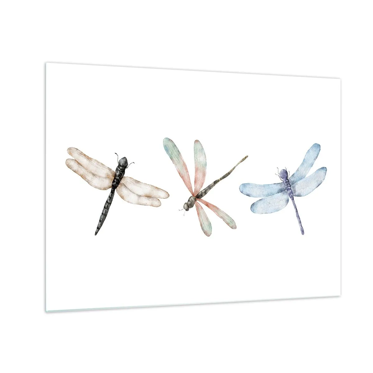 Impression sur verre - Image sur verre - Trois libellules colorées sur fond blanc dans un style aquarelle délicat - 70x50cm - Libellules en apesanteur - Décoration murale moderne pour le salon et la chambre ARTTOR