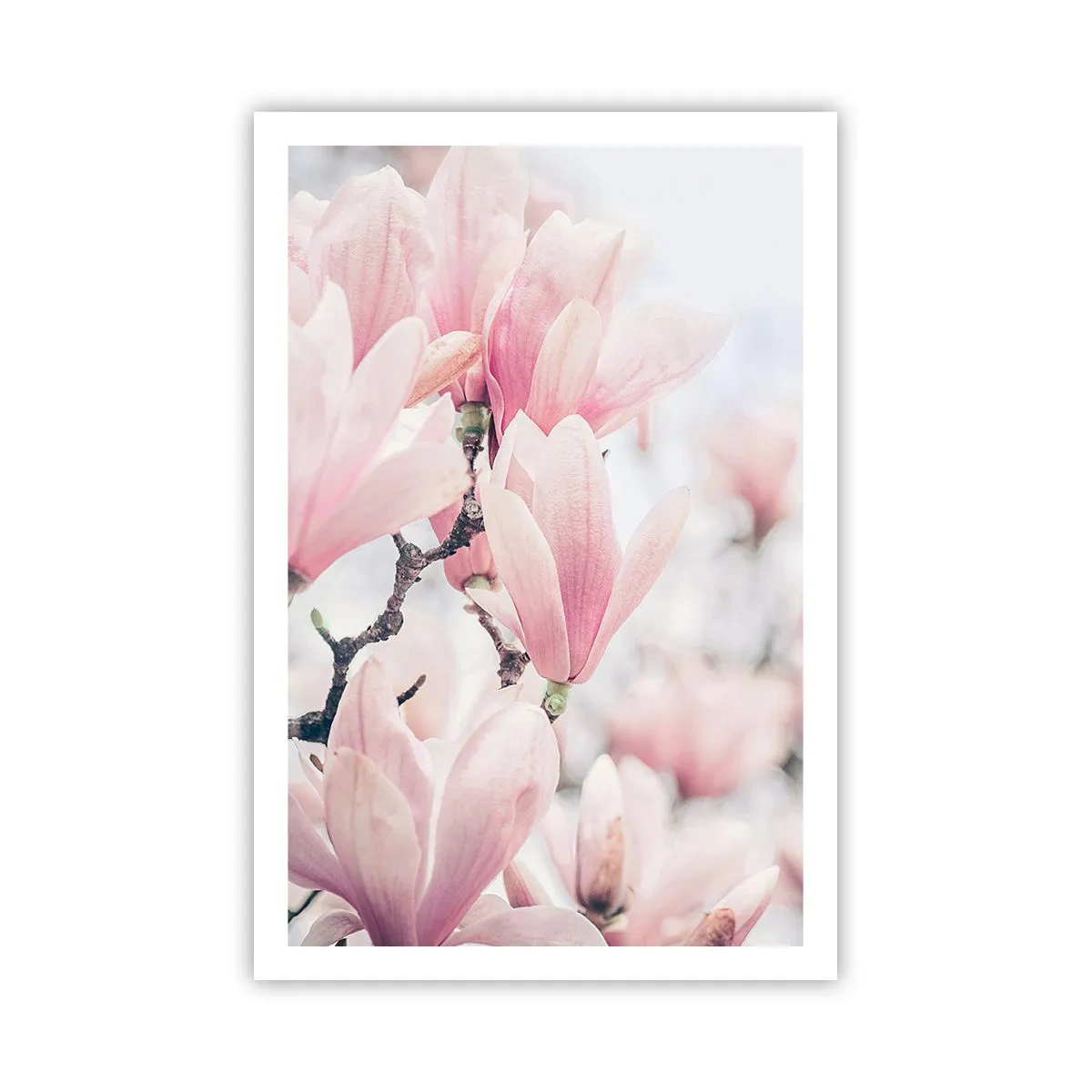 Affiche - Poster - Idéal de la subtilité - 61x91 cm