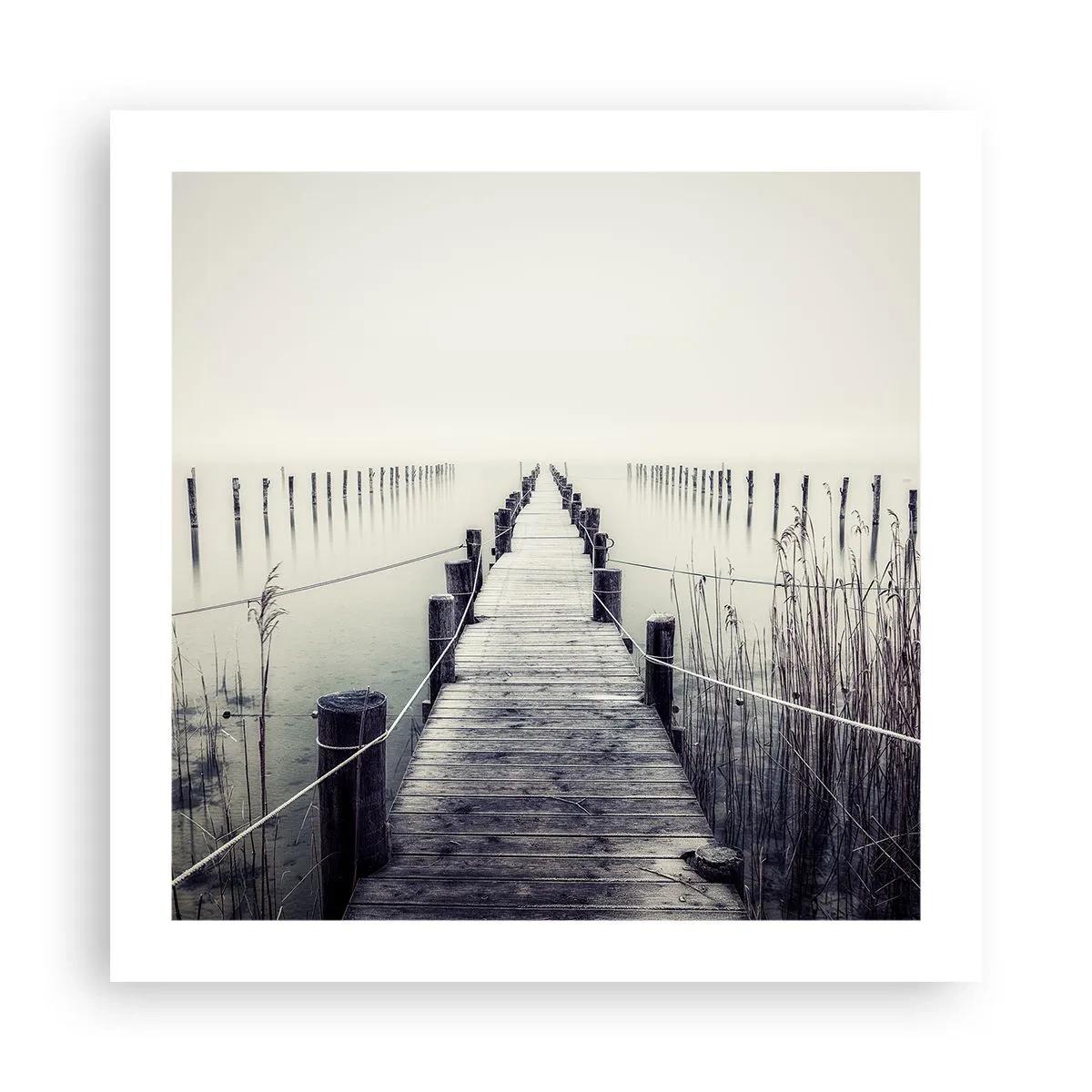 Affiche - Poster - Plongez dans la paix - 50x50 cm