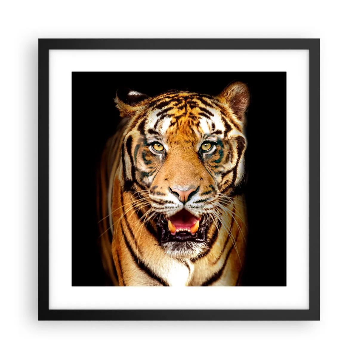 Affiche dans un cadre noir - Poster - Le coeur sauvageon - 40x40 cm