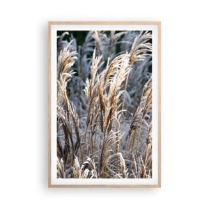 Affiche dans un chêne clair - Poster - Habillé de givre - 61x91 cm