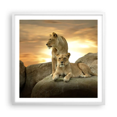 Affiche dans un cadre blanc - Poster - Majesté royale - 60x60 cm