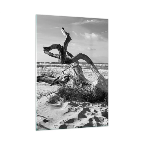Impression sur verre - Image sur verre - Un paysage en noir et blanc avec une branche tombée sur une plage en bord de mer. - 50x70cm - Sculpture marine - Décoration murale moderne pour le salon et la chambre ARTTOR