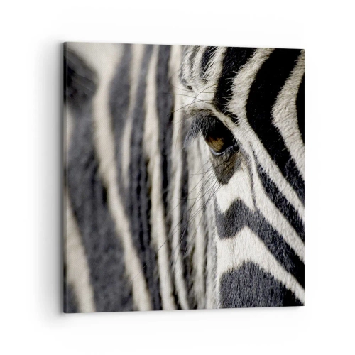 Impression sur toile - Image sur toile - Portrait en rayure - 70x70 cm