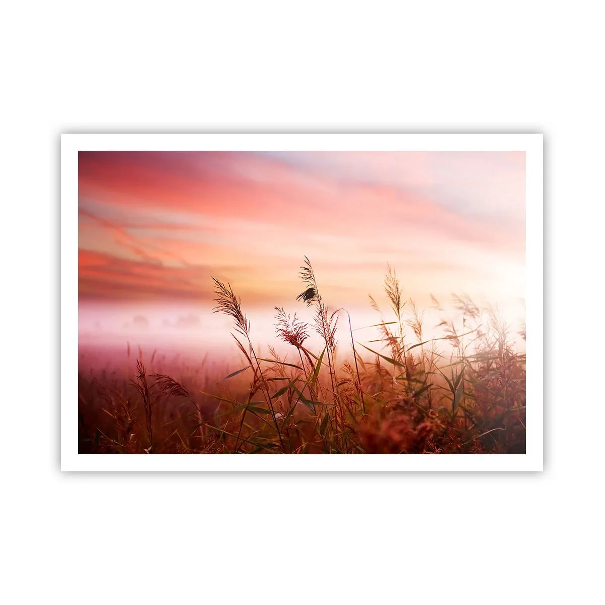 Affiche - Poster - Un champ d'herbe sur fond de coucher de soleil pittoresque - 100x70cm - Cerfs-volants, pissenlits, vent - Décoration murale moderne pour le salon et la chambre ARTTOR