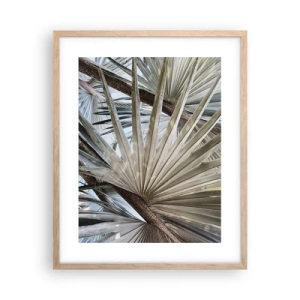 Affiche dans un chêne clair - Poster - Evantail sous les tropiques - 40x50 cm