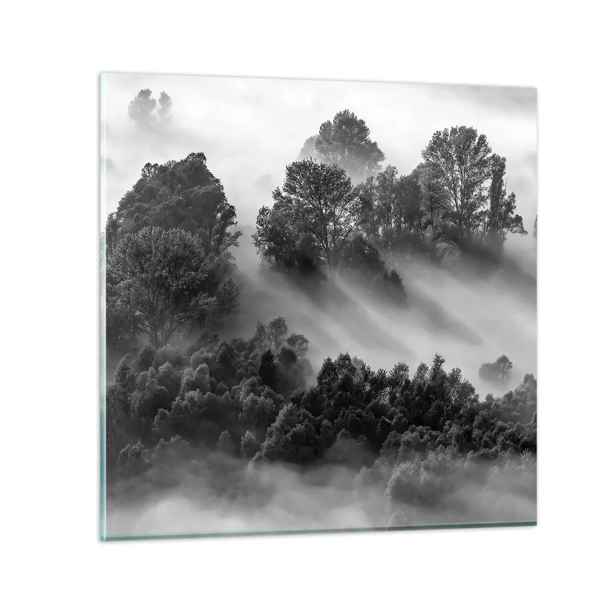 Impression sur verre - Image sur verre - Sortir de son sommeil - 50x50 cm