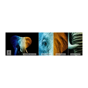 Échantillon de Papier Peint Autocollant Deluxe Sticker - Excentrique, pas bizarre - Abstraction, Éléphant, Animaux - 100x30 cm