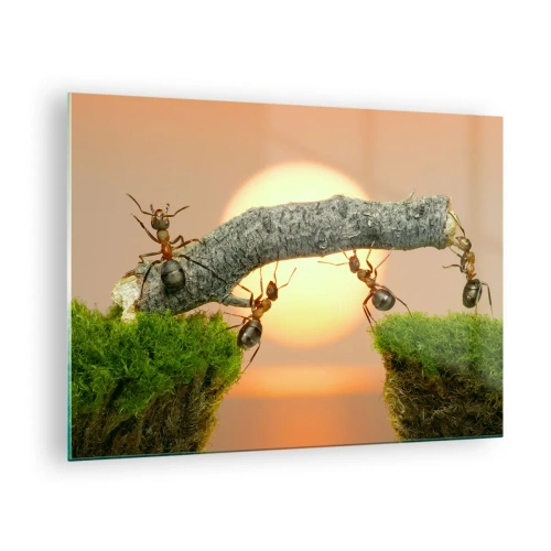 Impression sur verre - Image sur verre - Des fourmis construisent un pont au coucher du soleil - 70x50cm - La joie, travaille d'équipe - Décoration murale moderne pour le salon et la chambre ARTTOR
