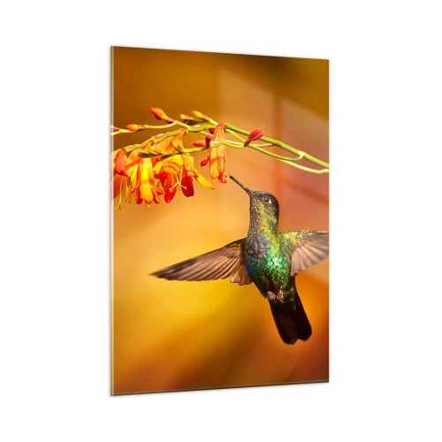 Impression sur verre - Image sur verre - Colibri près des fleurs dans une lueur dorée - 50x70cm - Un messager de lumière selon les Mayas - Décoration murale moderne pour le salon et la chambre ARTTOR