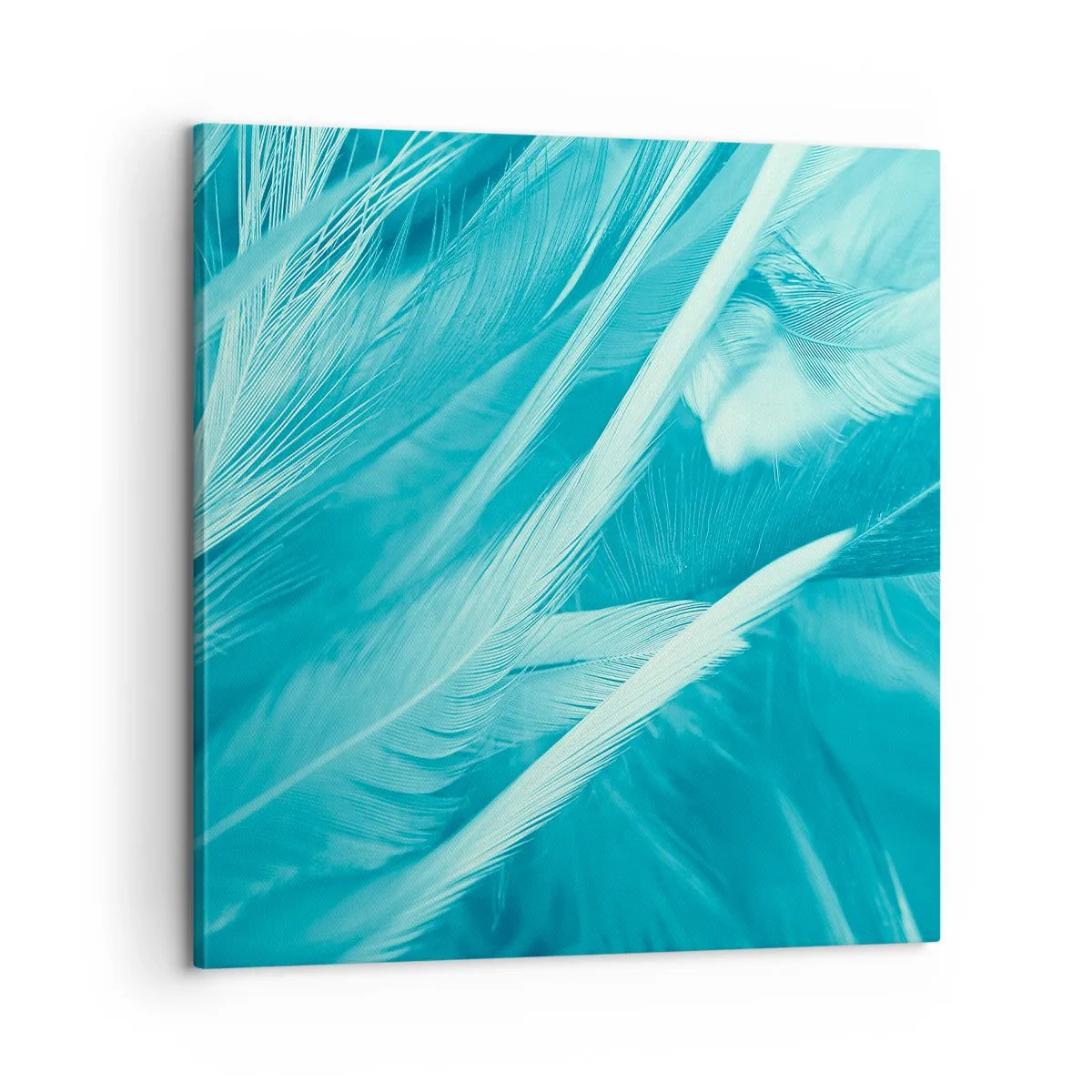 Impression sur toile - Image sur toile - Se noyer dans les plumes - 60x60 cm