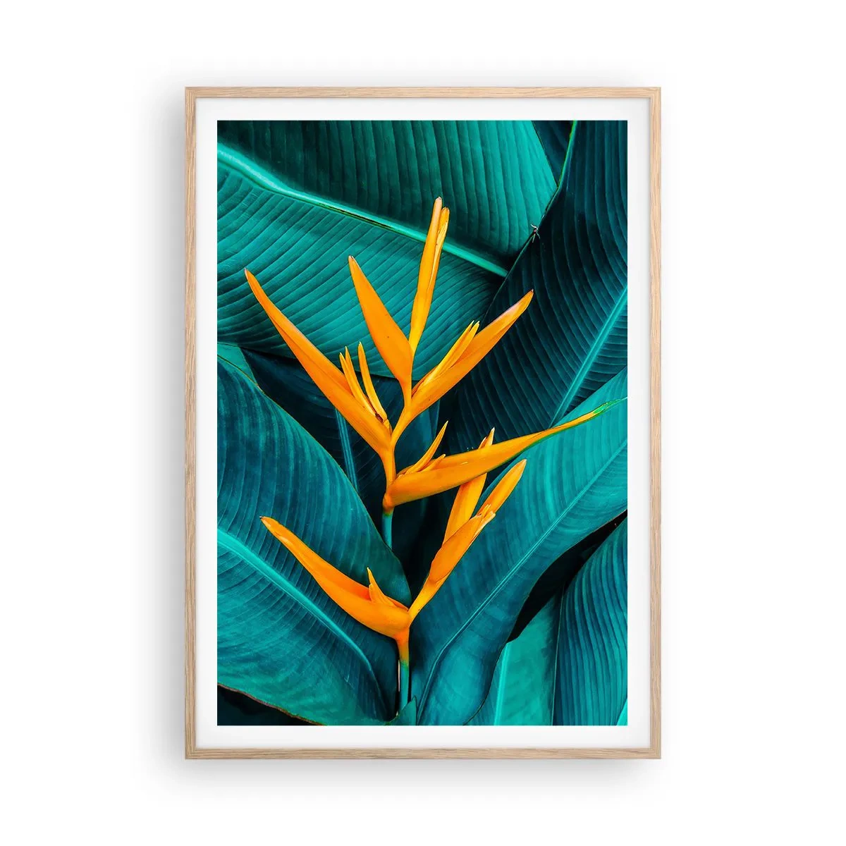 Affiche dans un chêne clair - Poster - Fleur d'Eden - 70x100 cm