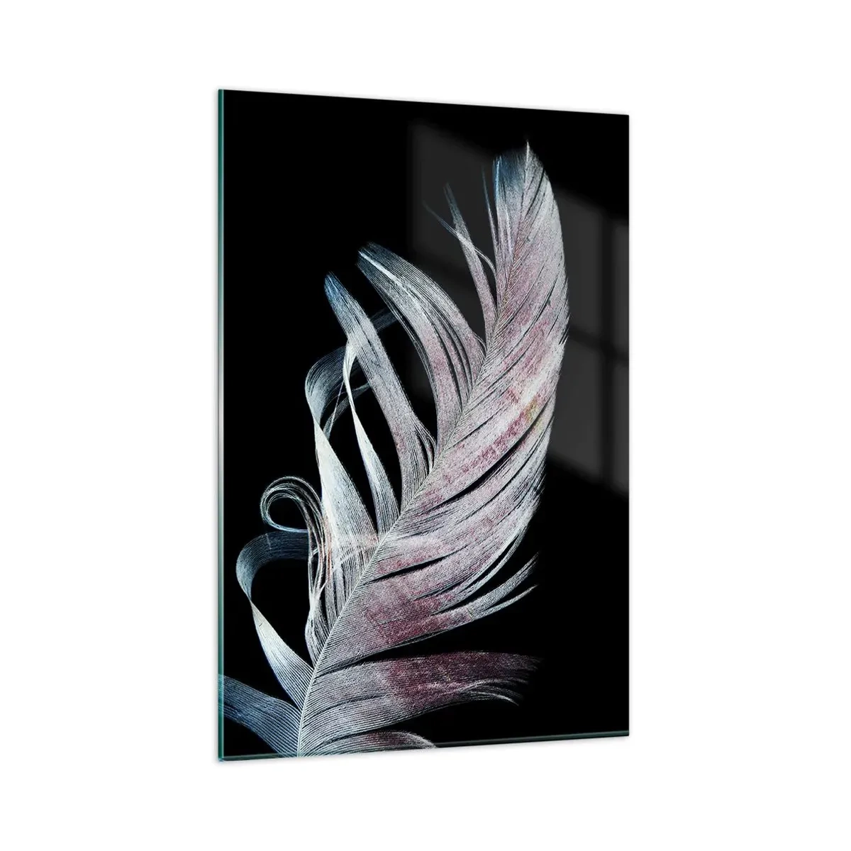 Impression sur verre - Image sur verre - Une plume délicate sur fond noir dans une démarche artistique - 80x120cm - Pensez au toucher - Décoration murale moderne pour le salon et la chambre ARTTOR