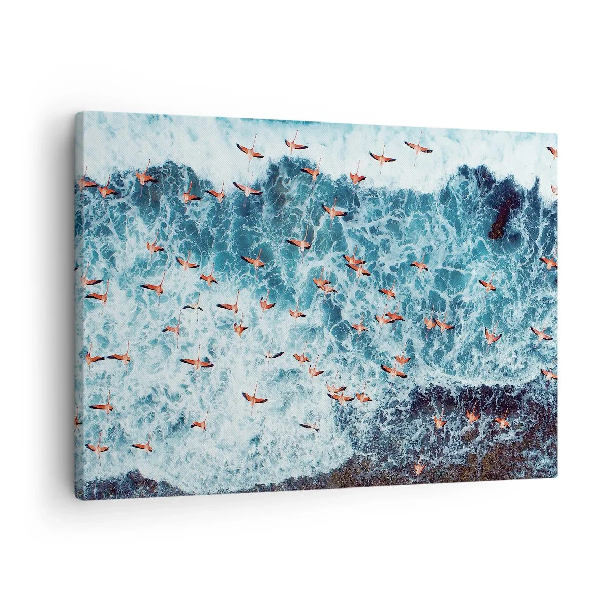 Impression sur toile - Image sur toile - Vue aérienne de flamants roses sur un océan bleu - 70x50cm - Défilé du bord de mer - Décoration murale moderne pour le salon et la chambre ARTTOR
