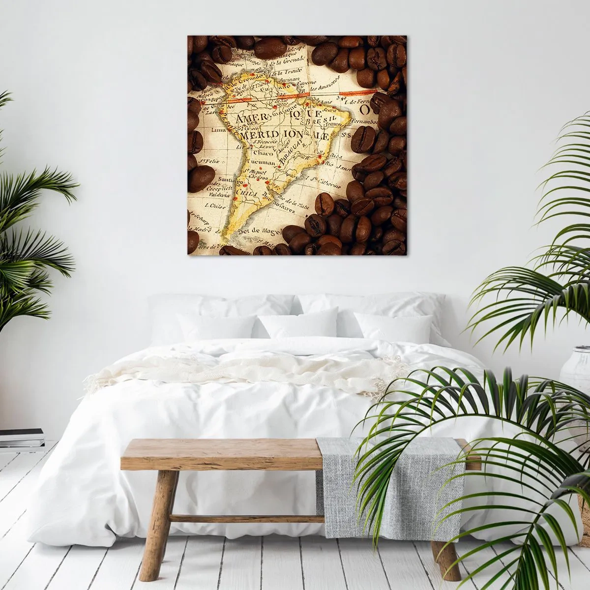 Impression sur toile - Image sur toile - D'où vient le meilleur café ? - 30x30 cm