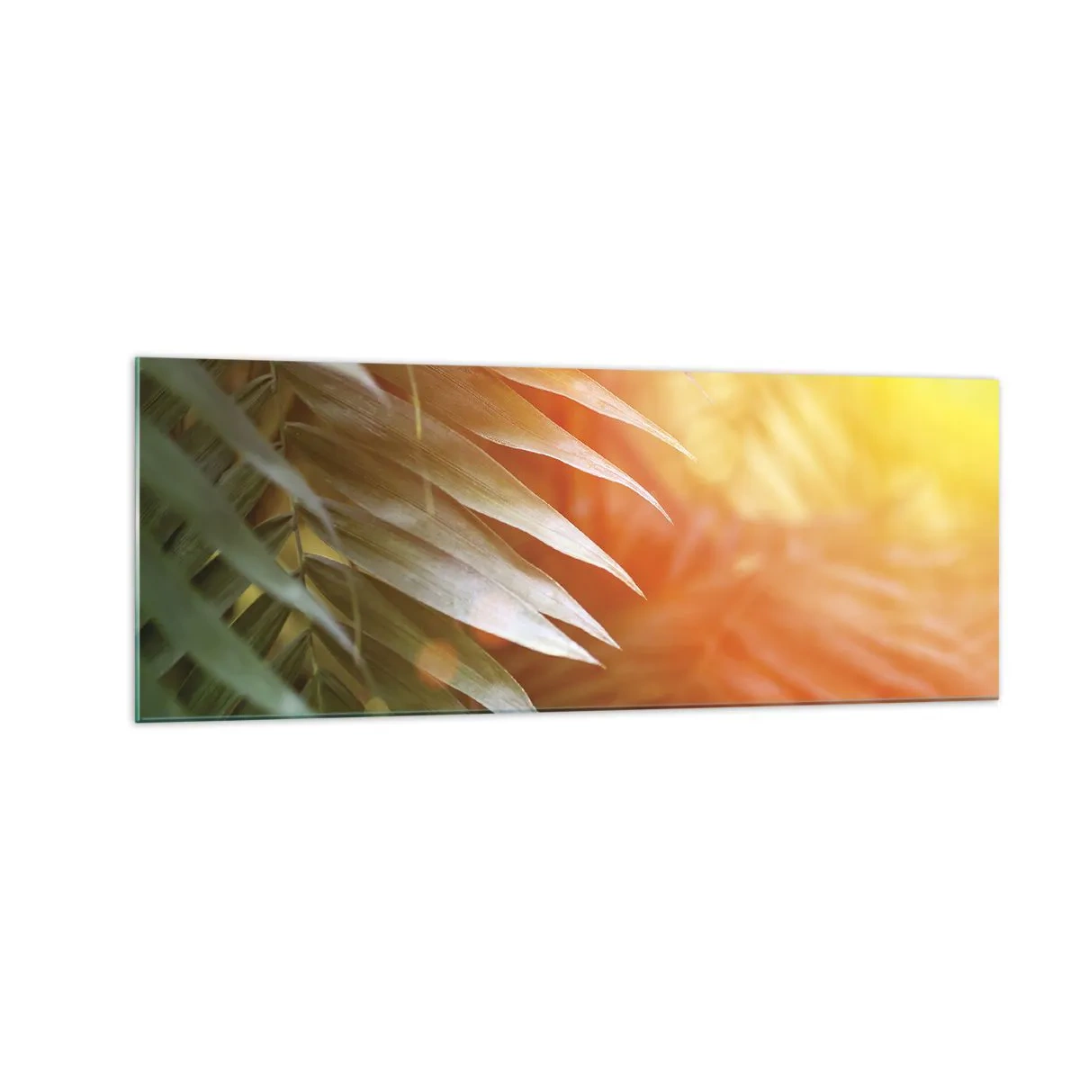 Impression sur verre - Image sur verre - Feuilles de palmier dans les rayons du soleil couchant - 140x50cm - Matinée dans la jungle - Décoration murale moderne pour le salon et la chambre ARTTOR