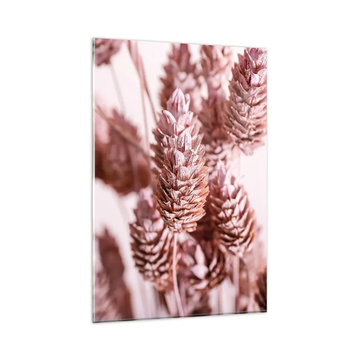 Impression sur verre - Image sur verre - Gros plan sur les délicats épis roses des graminées ornementales - 80x120cm - Apparemment discret - Décoration murale moderne pour le salon et la chambre ARTTOR