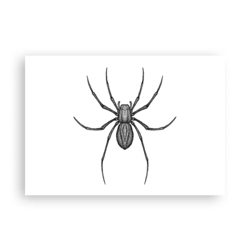 Affiche - Poster - Détail d'une araignée sur fond blanc dans un style dessin animé - 100x70cm - Une précision troublante - Décoration murale moderne pour le salon et la chambre ARTTOR