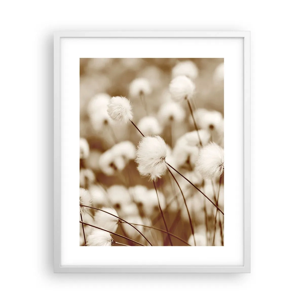 Affiche dans un cadre blanc - Poster - Tige moelleuse - 40x50 cm
