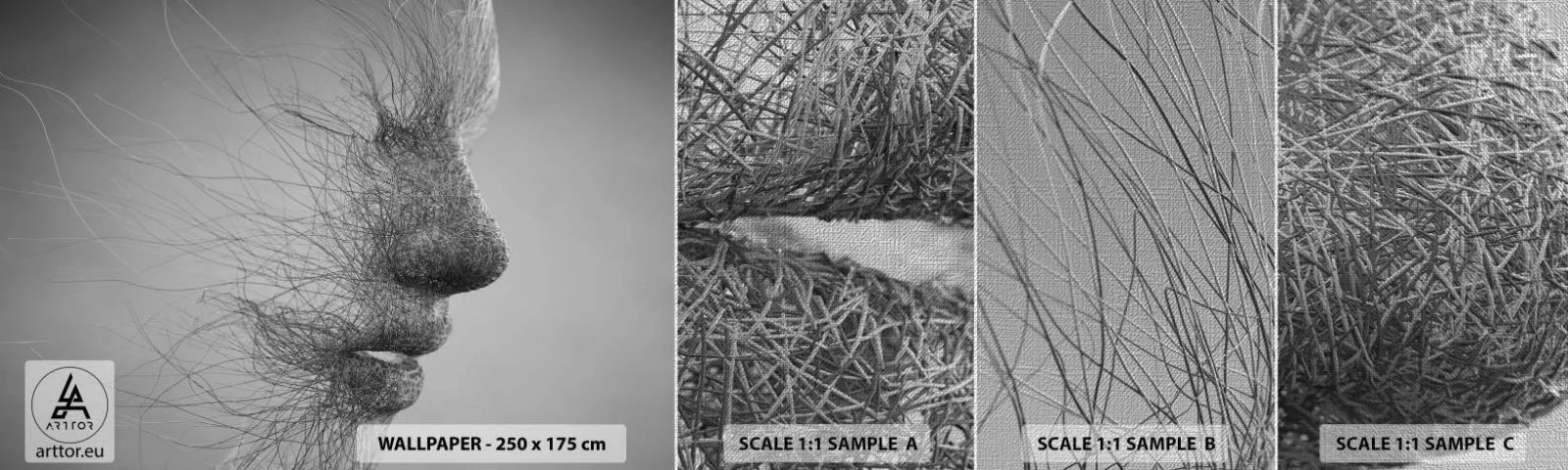 Échantillon de Papier Peint Premium Canvas - L'esprit du vent - Abstraction, Visage de femme, Graphique - 100x30 cm