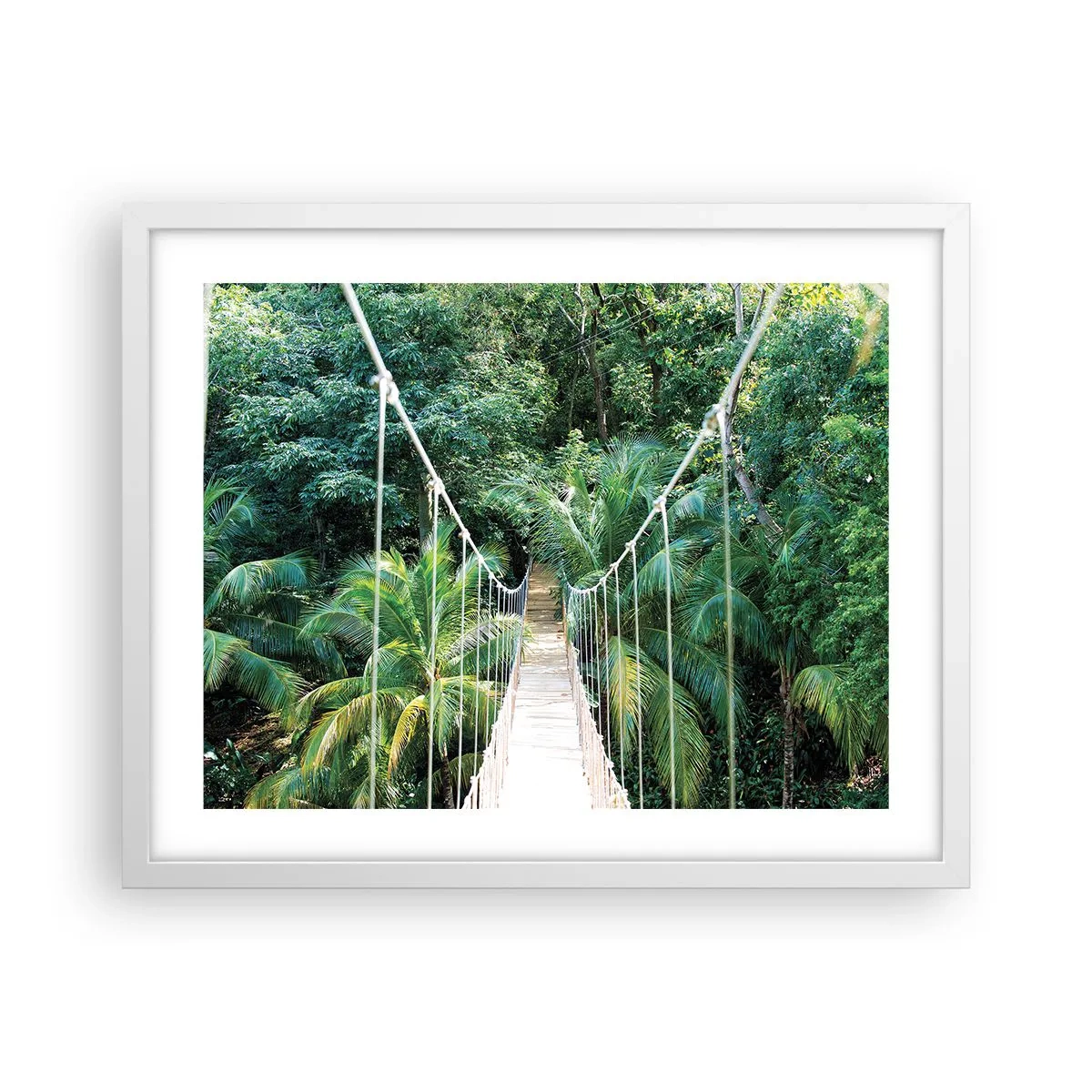 Affiche dans un cadre blanc - Poster - Welcome to the jungle! - 50x40 cm
