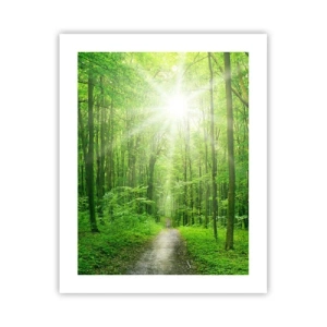 Affiche - Poster - Cathédrale verte - 40x50 cm