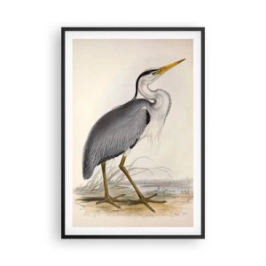 Affiche dans un cadre noir - Poster - Grâce au héron - 61x91 cm