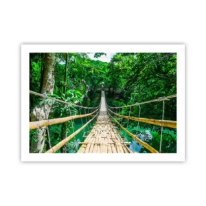 Affiche - Poster - Pont de singe en pleine nature - 70x50 cm
