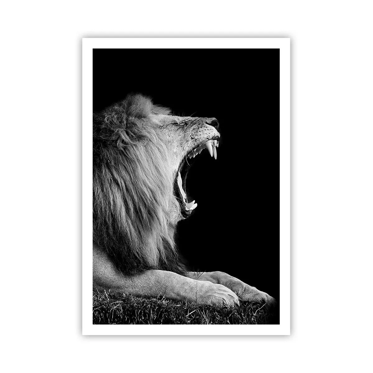 Affiche - Poster - Sans aucun doute - 70x100 cm