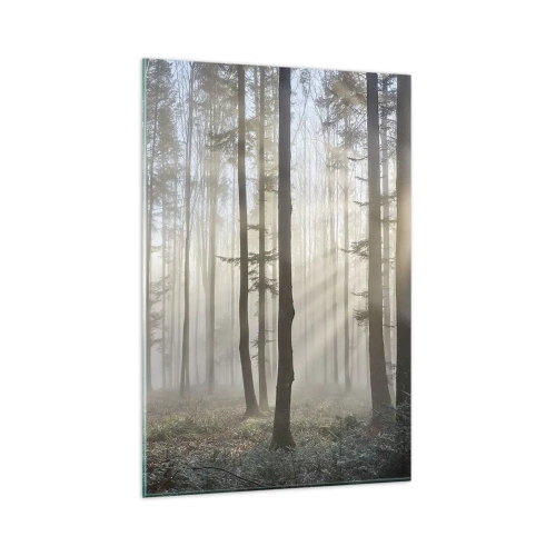 Impression sur verre - Image sur verre - Une forêt dans un léger brouillard avec des rayons de soleil qui brillent à travers les arbres - 80x120cm - Le brouillard s'est aussi réveillé - Décoration murale moderne pour le salon et la chambre ARTTOR