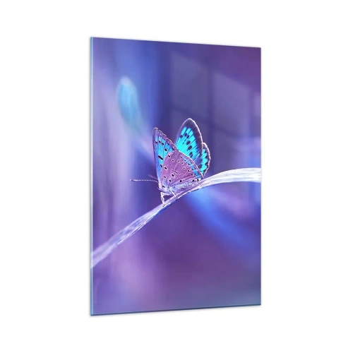 Impression sur verre - Image sur verre - Un délicat papillon bleu sur une tige dans une lumière violette - 80x120cm - Un joyau de la nature - Décoration murale moderne pour le salon et la chambre ARTTOR