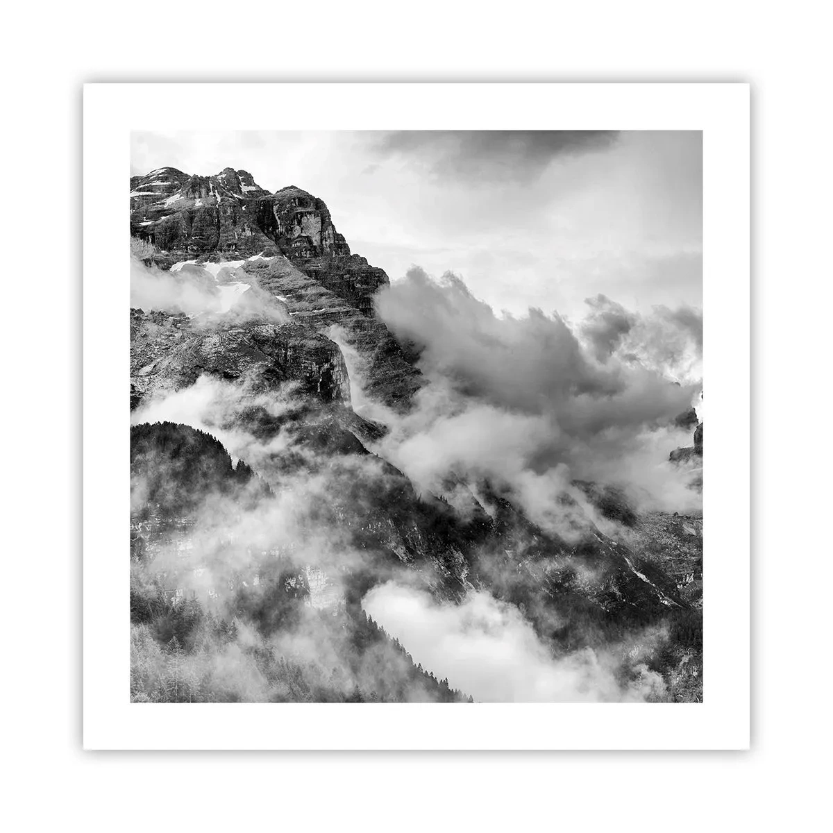 Affiche - Poster - Belle et cruelle - 50x50 cm